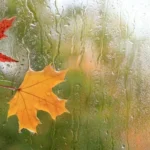 El clima en Hungría: qué esperar