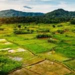 Disfruta del turismo rural en Hungría